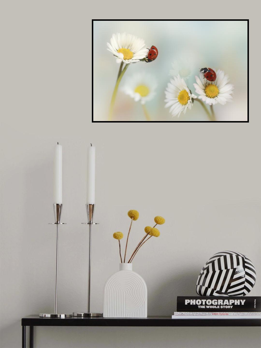 Springtime.... Poster och Canvastavla