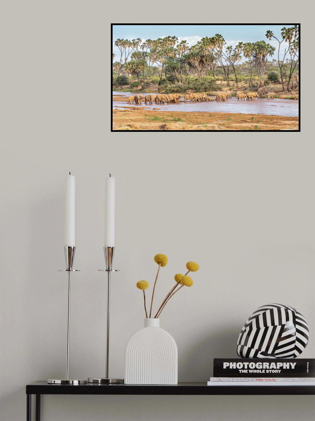Why go to East Africa? Poster och Canvastavla
