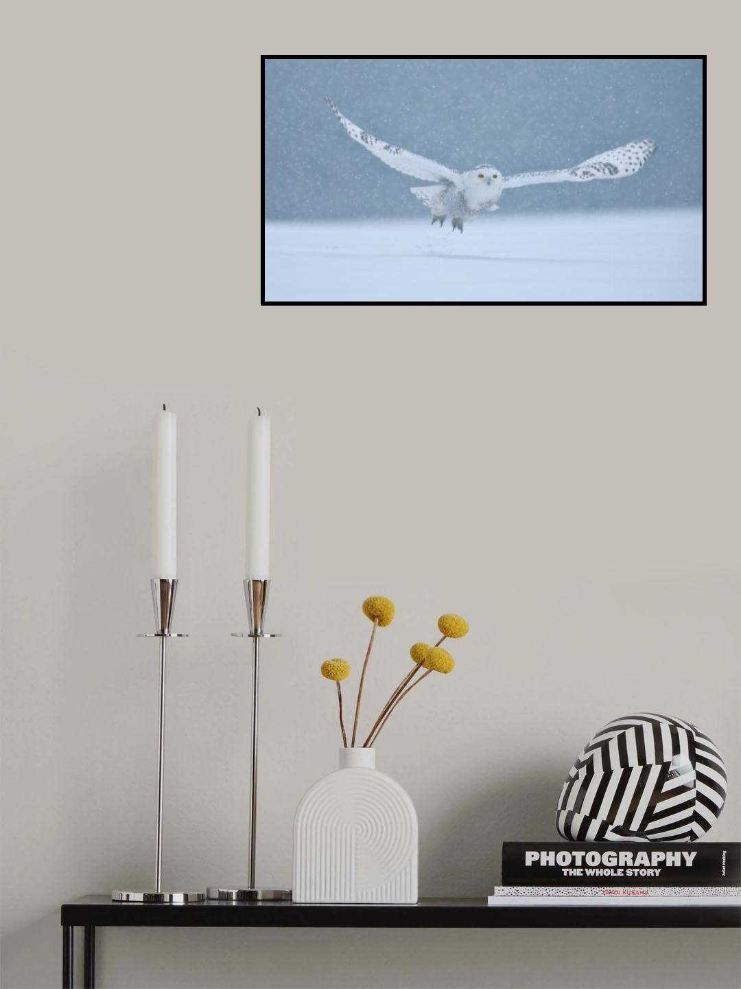 Snowy Owl on a Snowy day Poster och Canvastavla