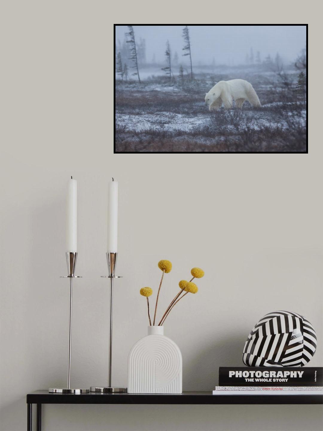 Under the snow Poster och Canvastavla