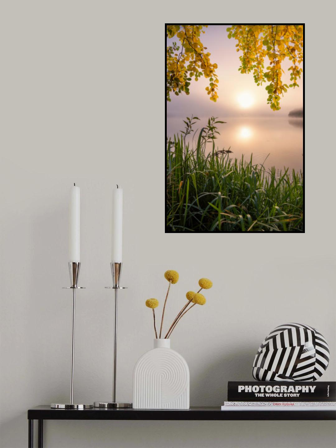 Morning light at the lake Poster och Canvastavla
