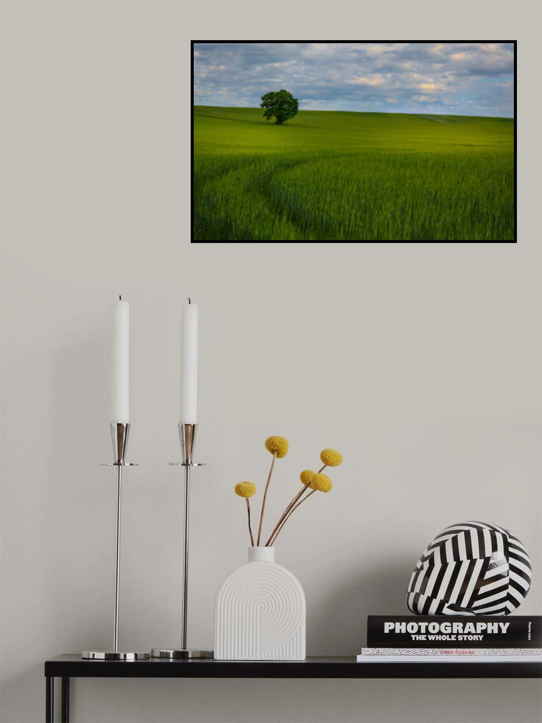 Tree Poster och Canvastavla