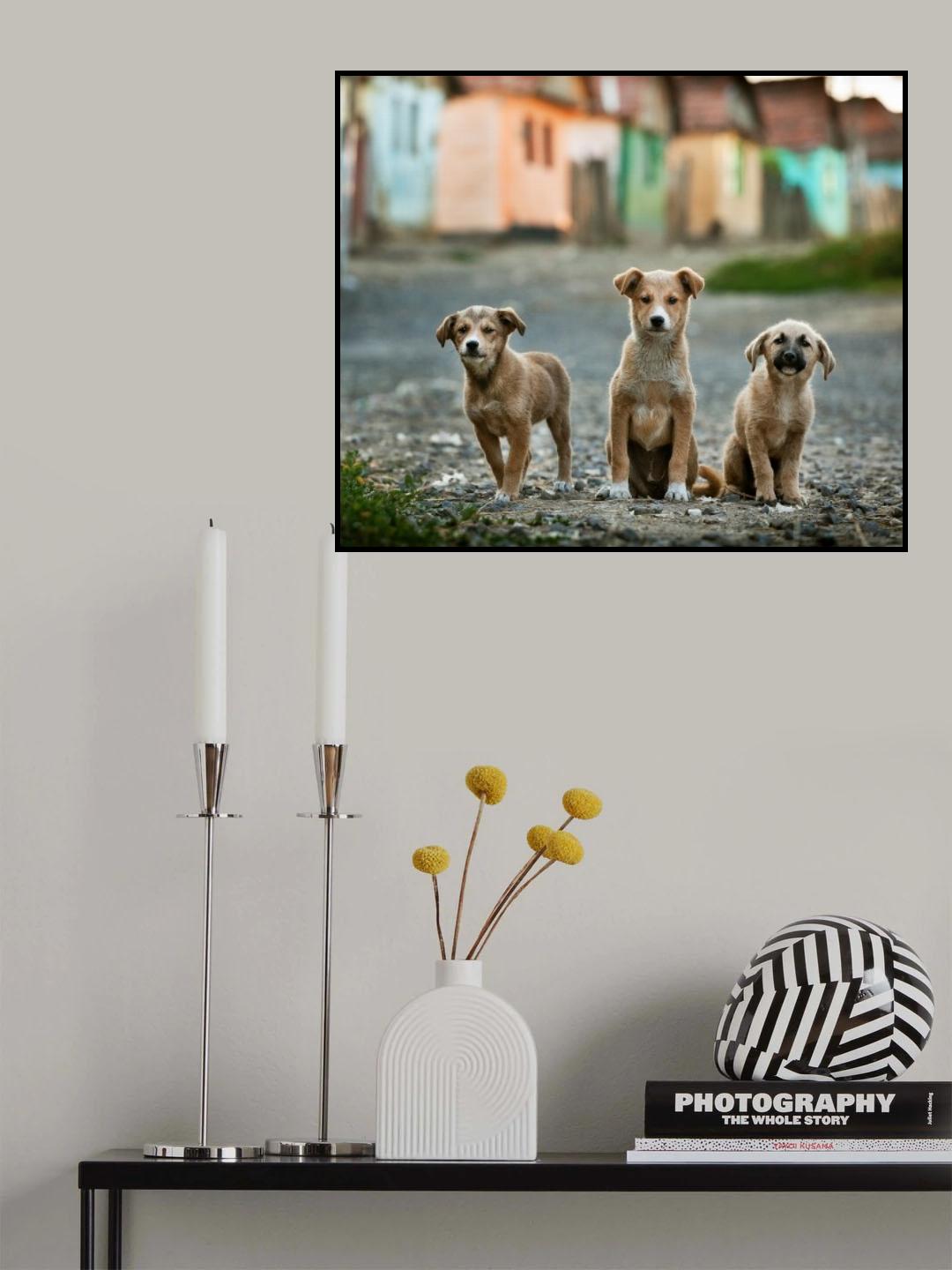 The Three Musketeers Poster och Canvastavla