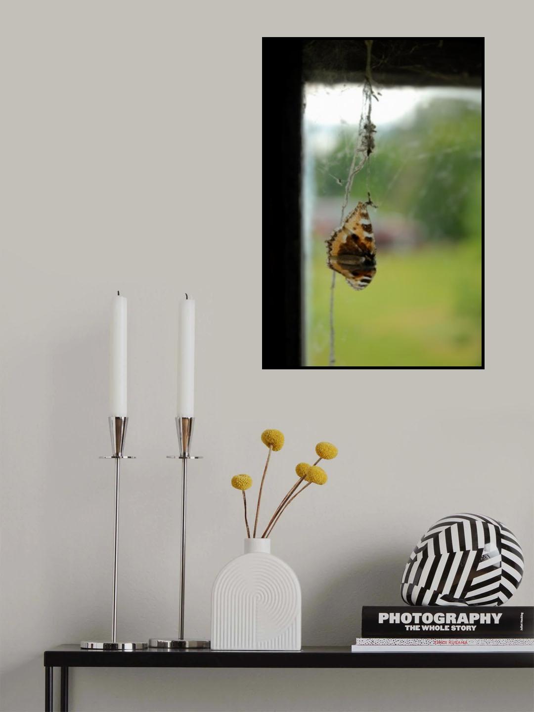 The butterfly Poster och Canvastavla