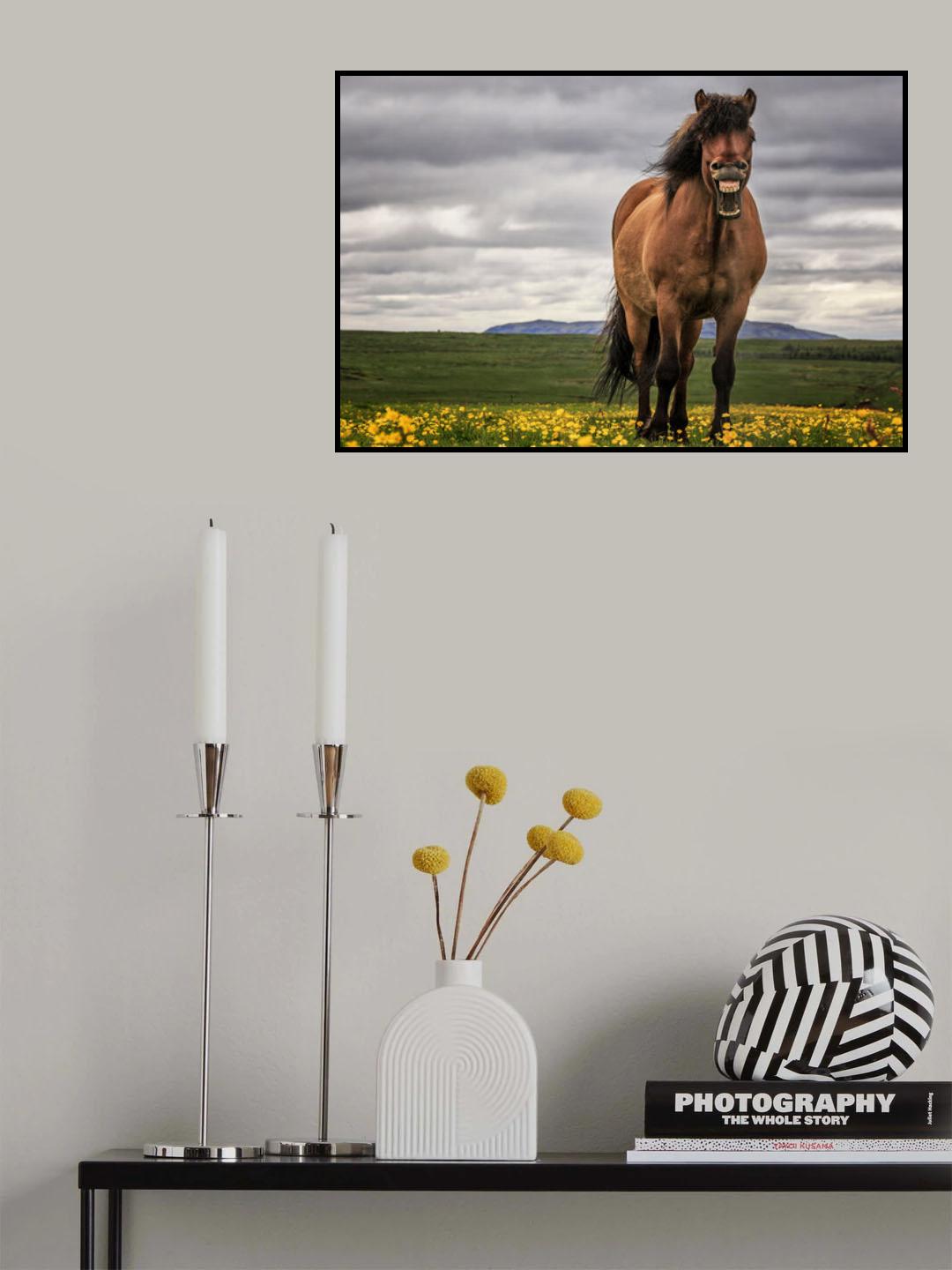 Mood IV Poster och Canvastavla