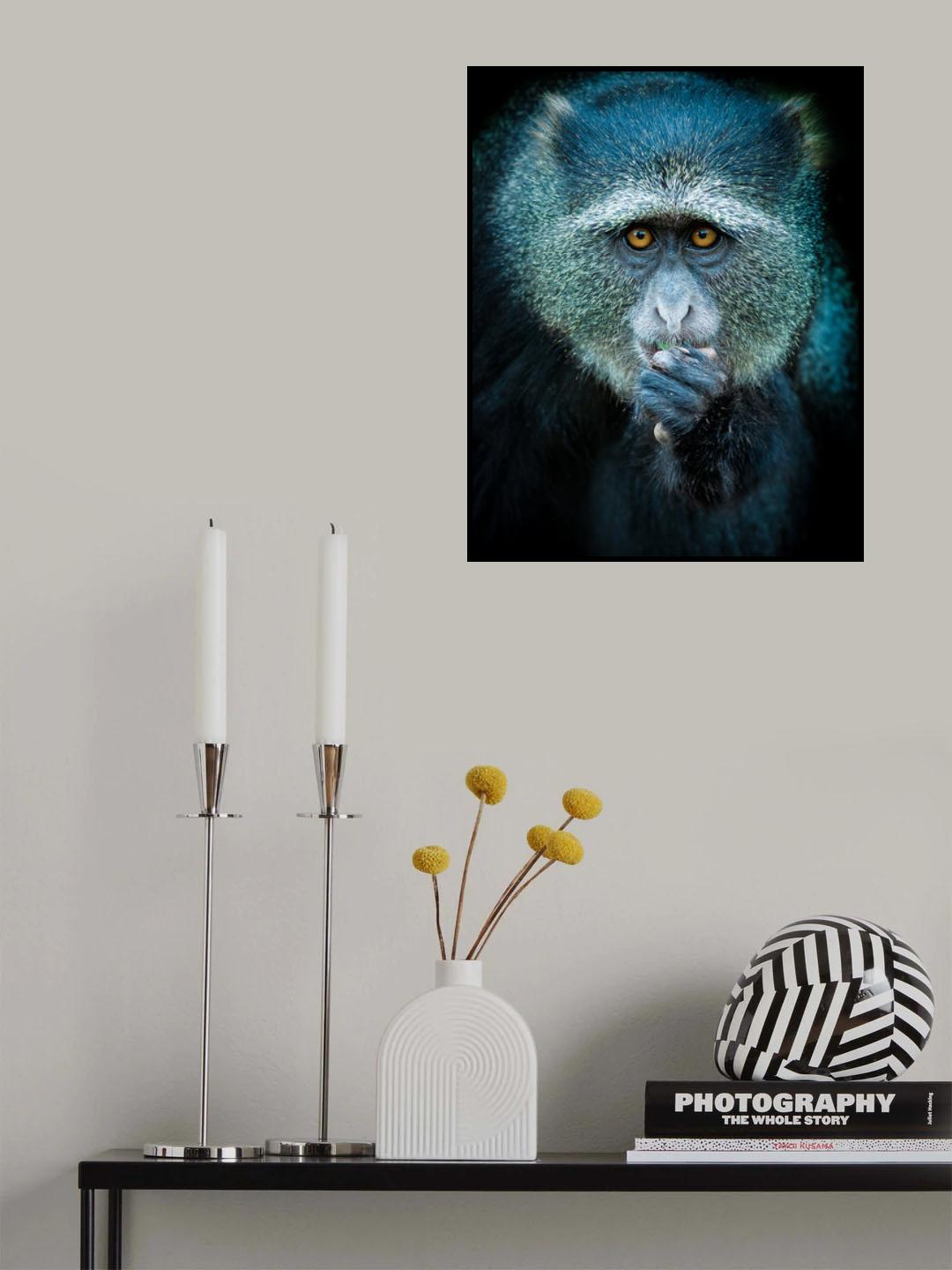 Oops! Poster och Canvastavla