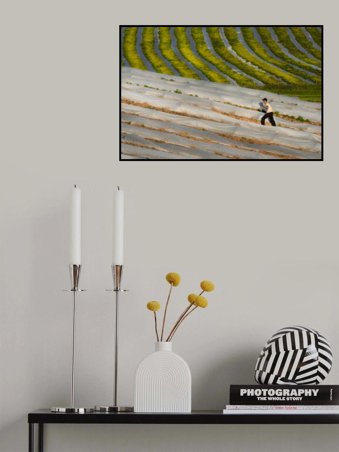 Farmer Poster och Canvastavla