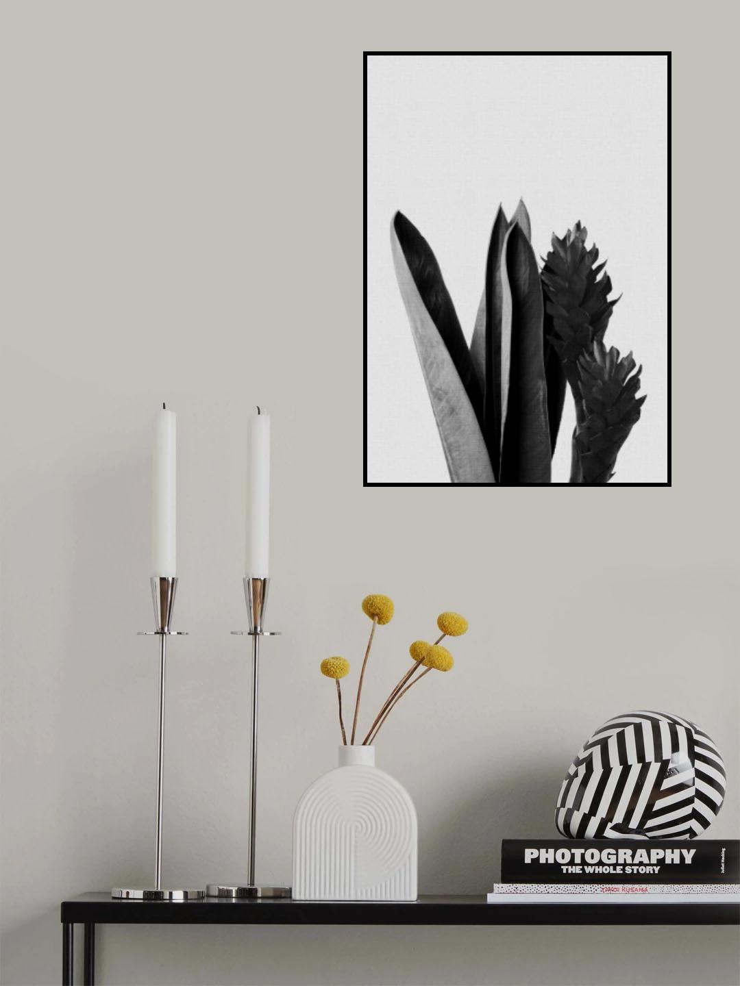 Flower Black & White Poster och Canvastavla