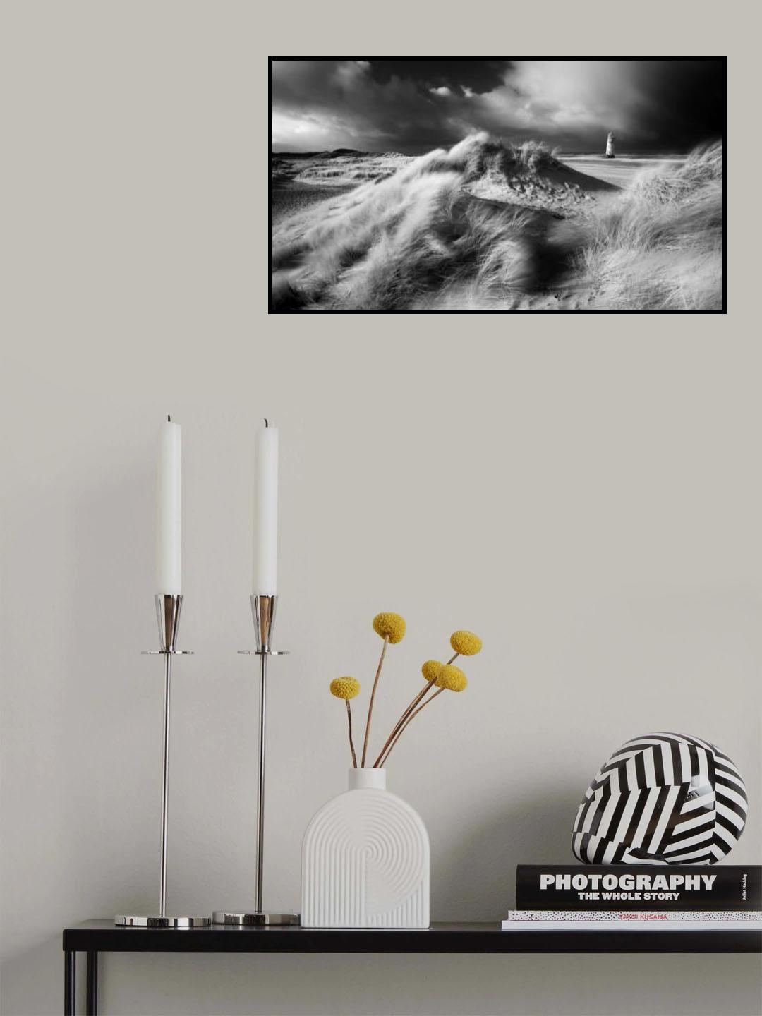 Amongst the dunes Poster och Canvastavla