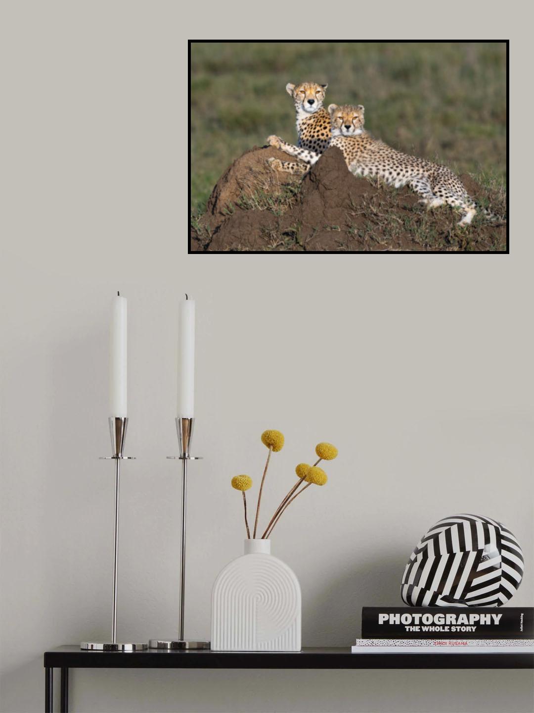 Alert and loving Poster och Canvastavla