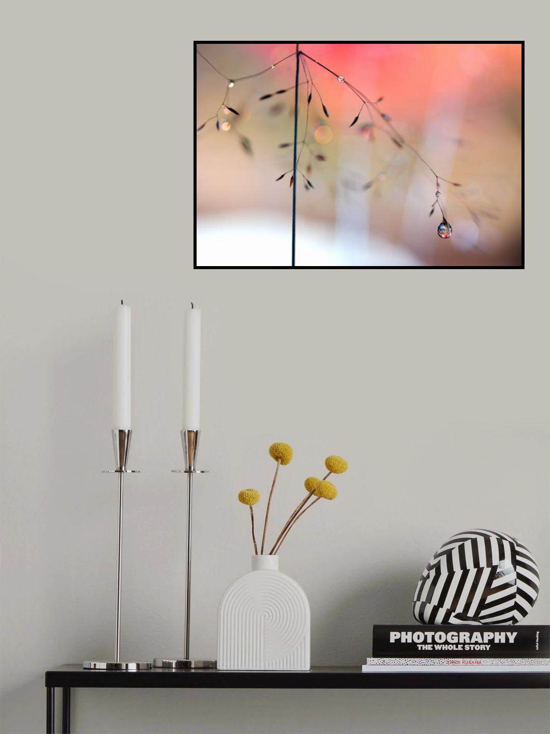 Morning glow Poster och Canvastavla