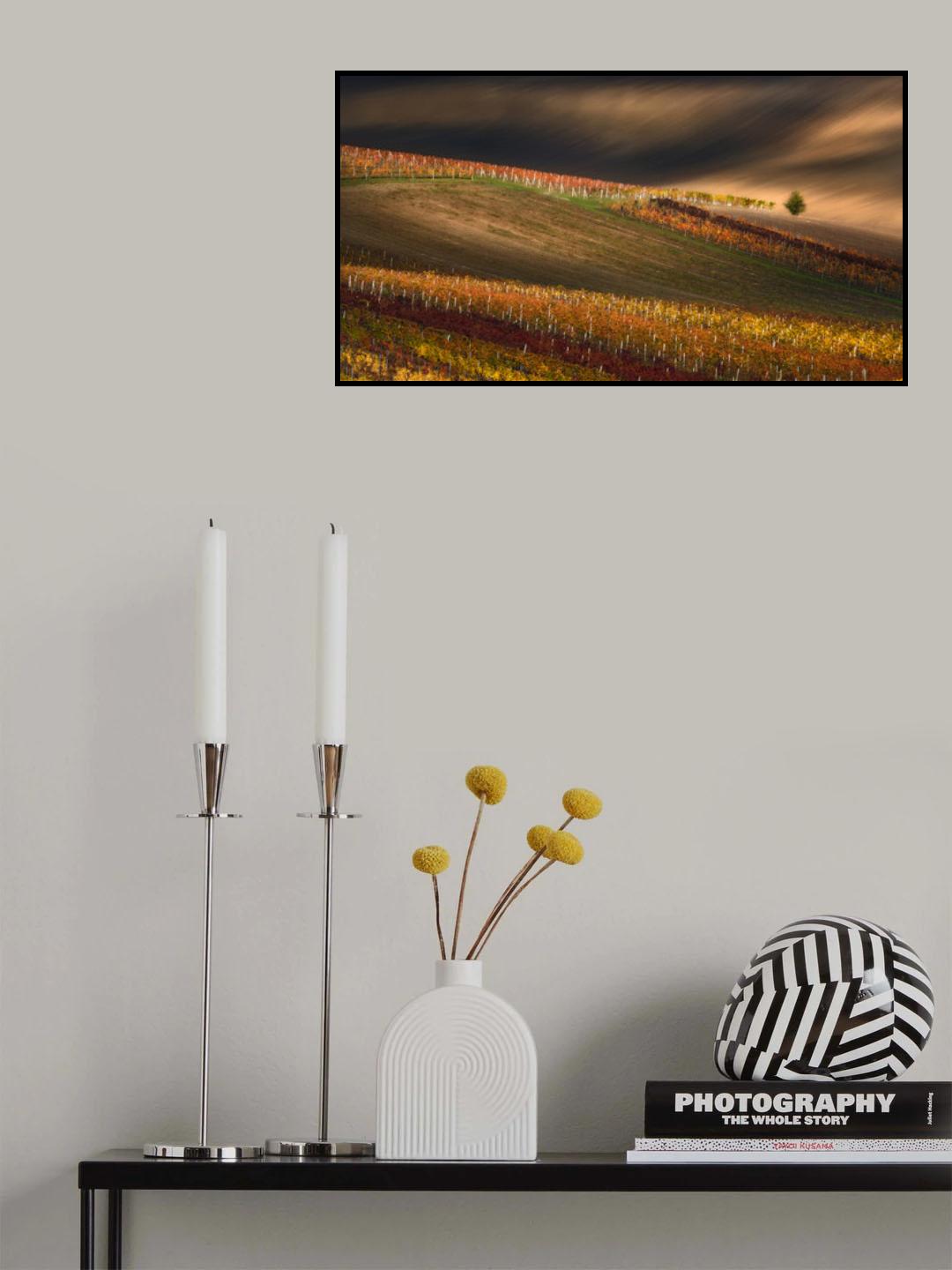 Line And Vine Poster och Canvastavla