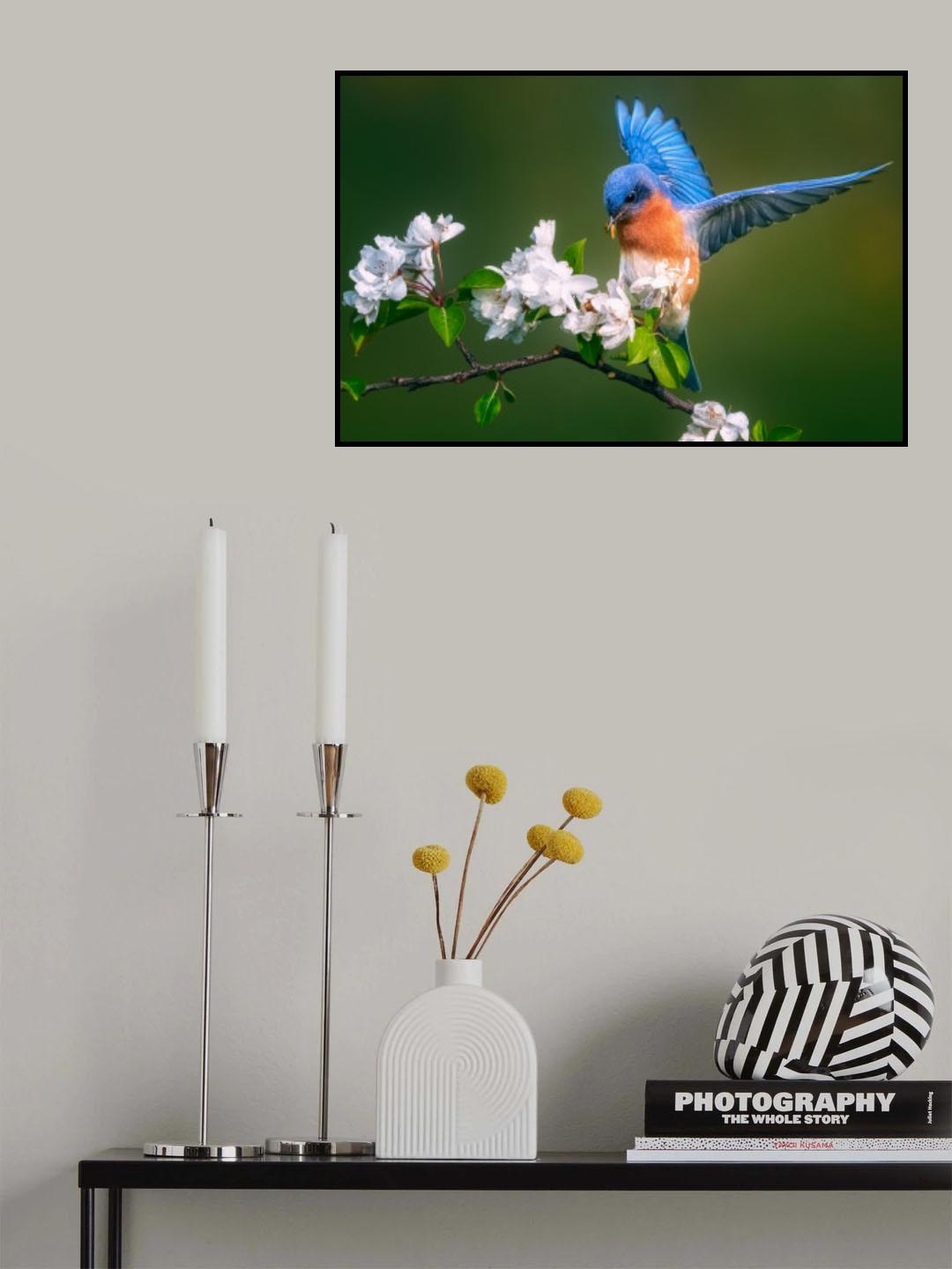 Catch Poster och Canvastavla