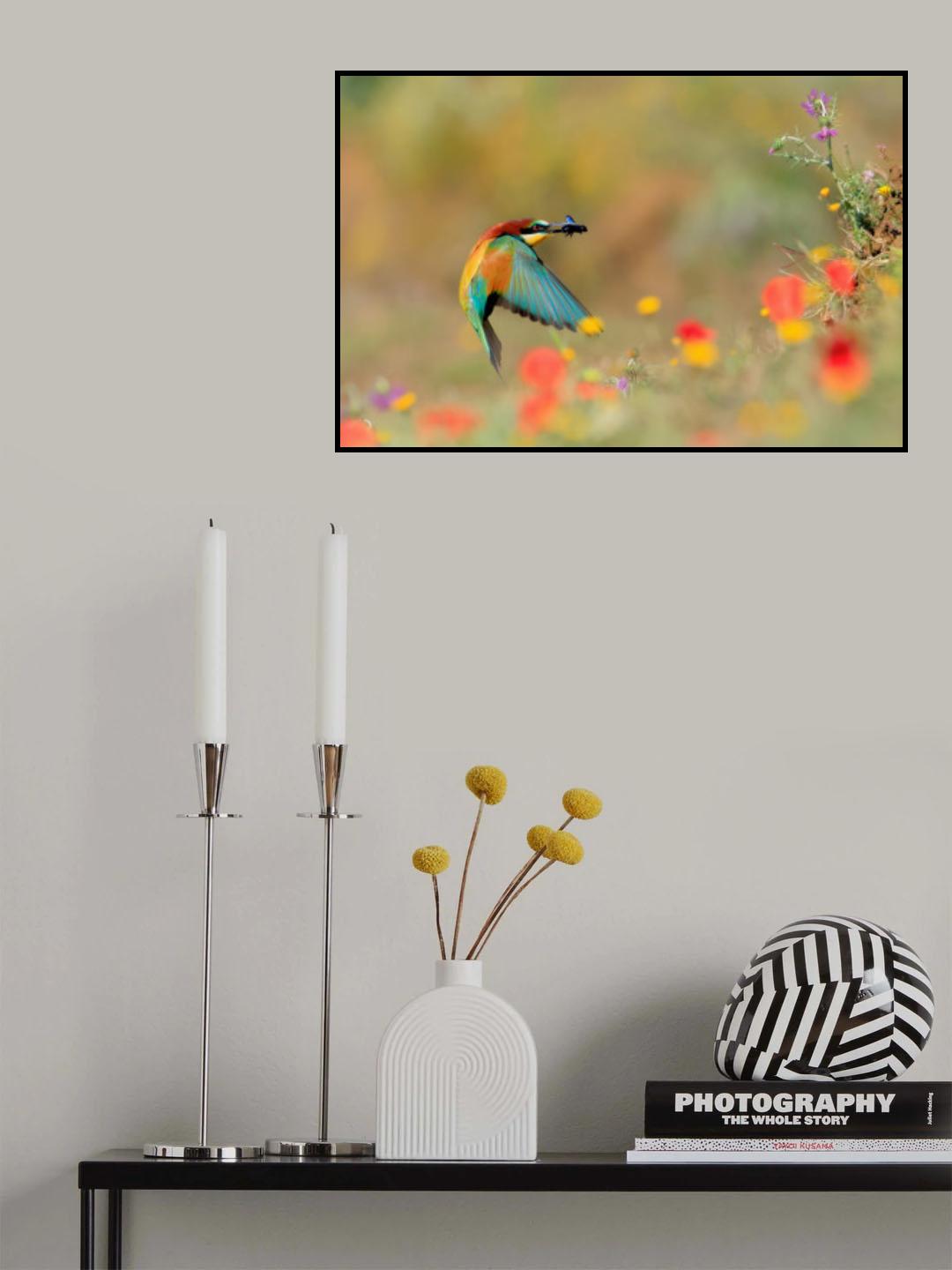 Spring colors Poster och Canvastavla