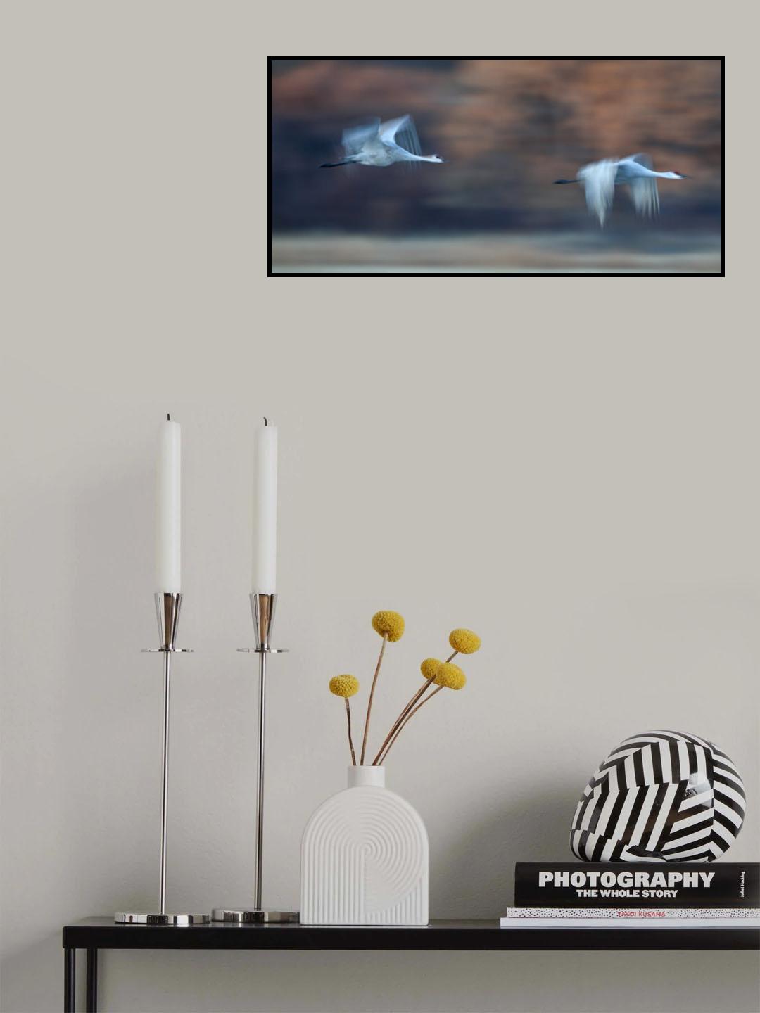 Chasing through Autumn Poster och Canvastavla