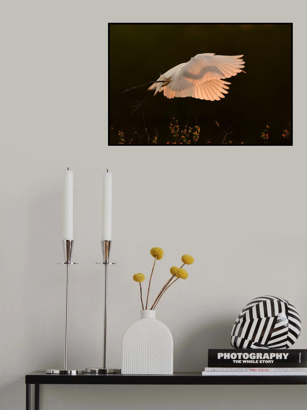 Shadow Poster och Canvastavla