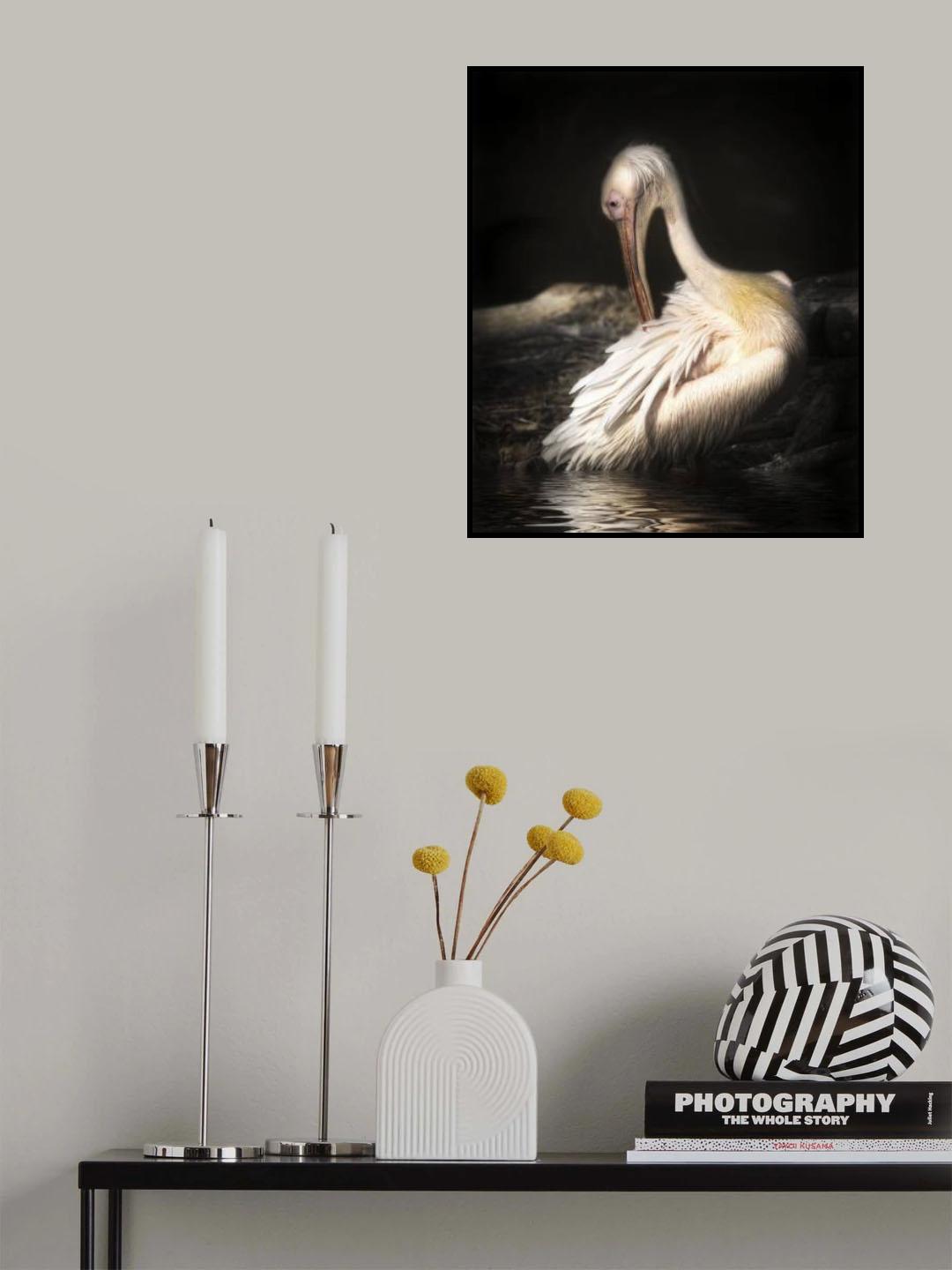 pelican Poster och Canvastavla