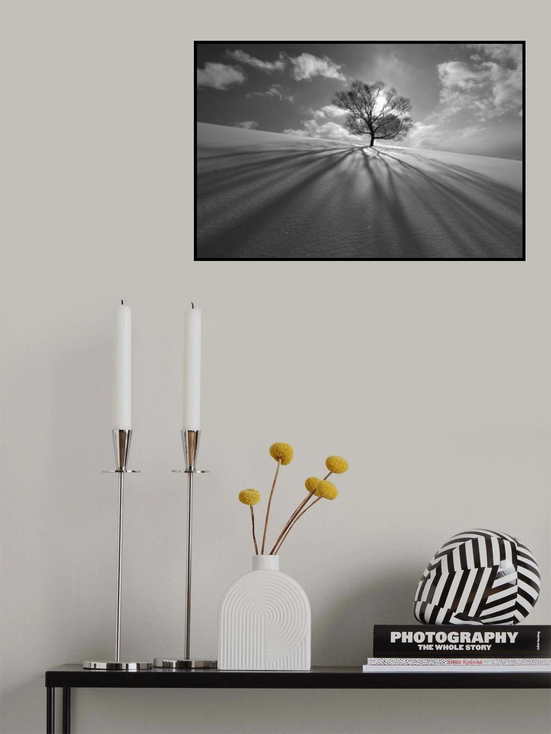 Tree Shadow Poster och Canvastavla