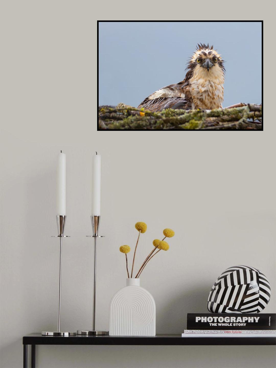 After rain Poster och Canvastavla