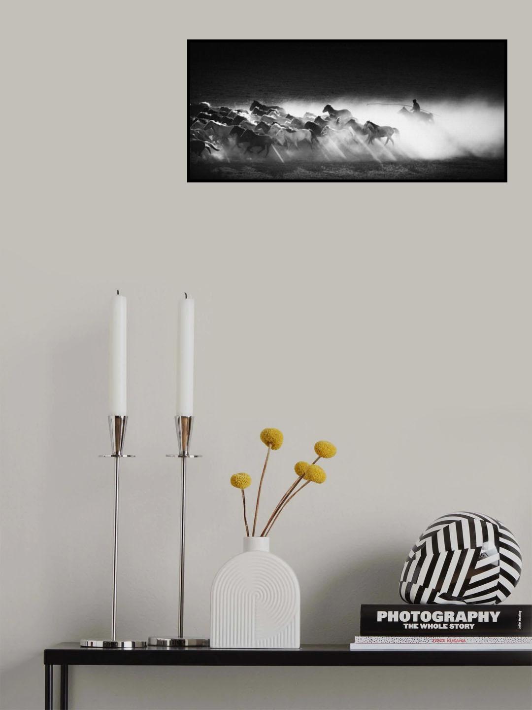 Running horses Poster och Canvastavla