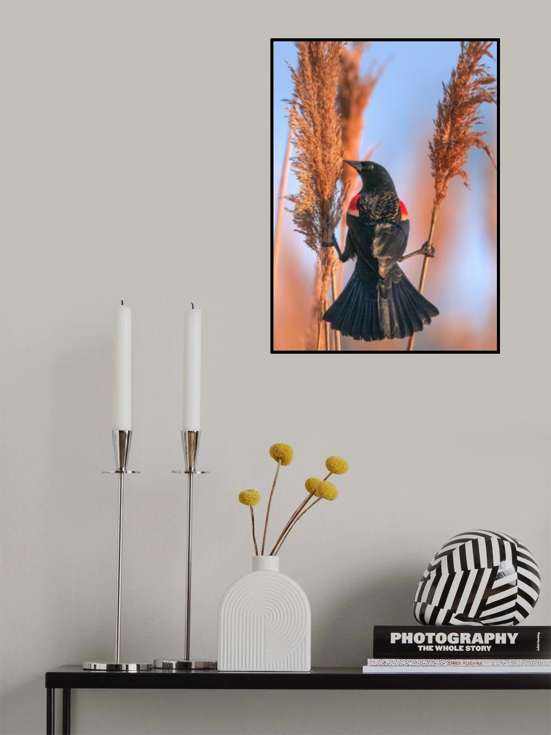 Balance Poster och Canvastavla