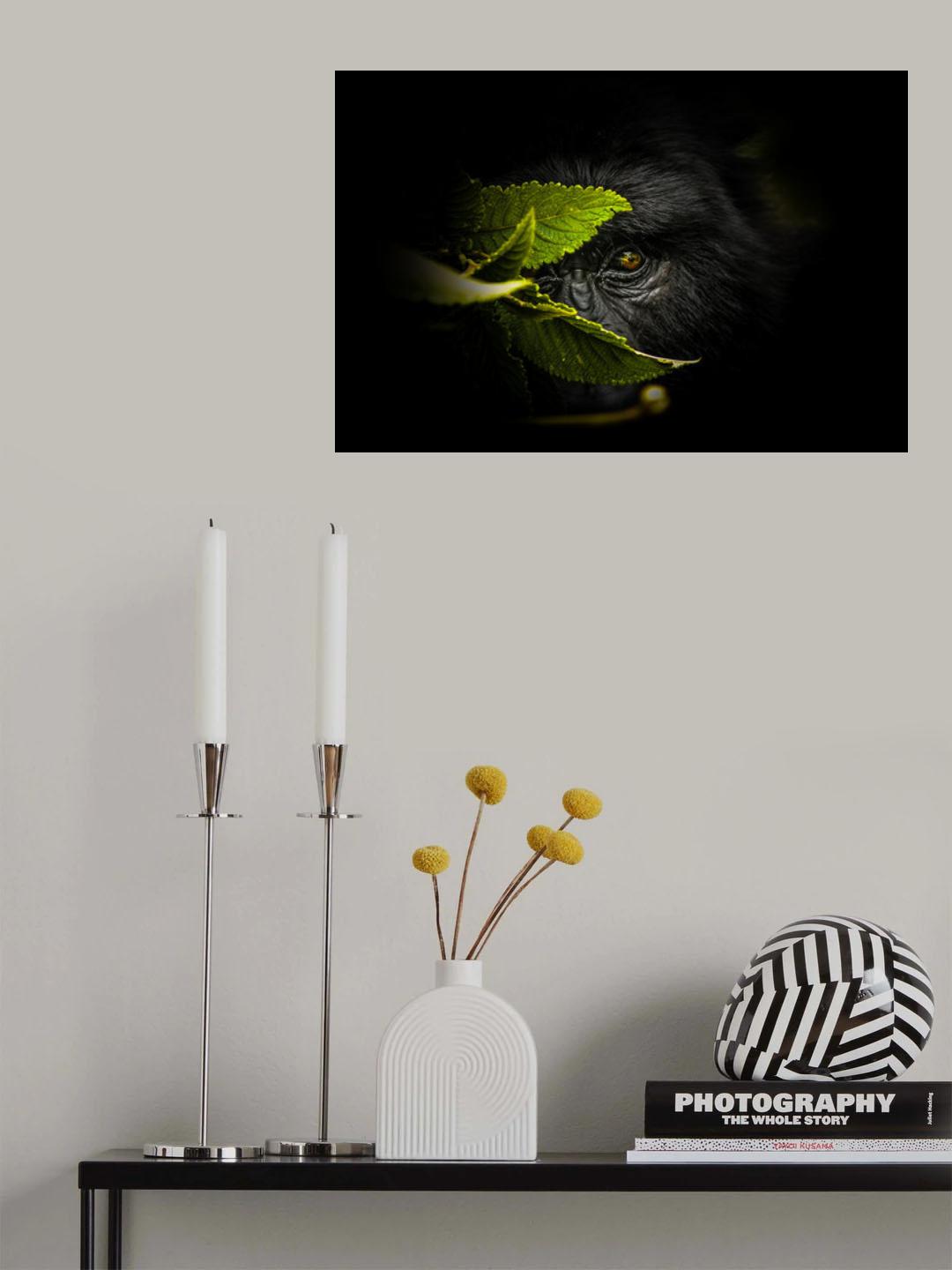 Keeping secrets Poster och Canvastavla