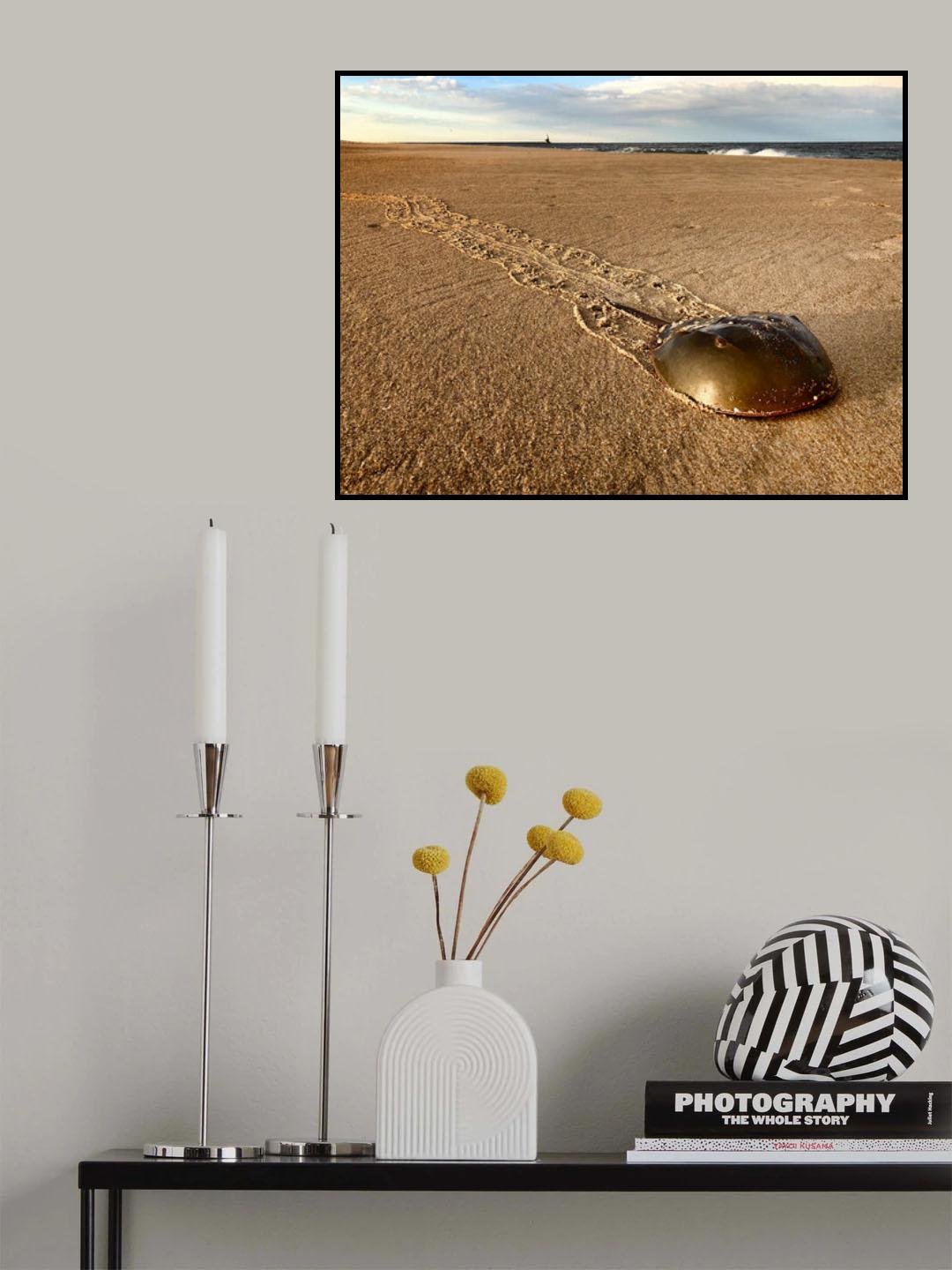 Long Ways to Go Poster och Canvastavla