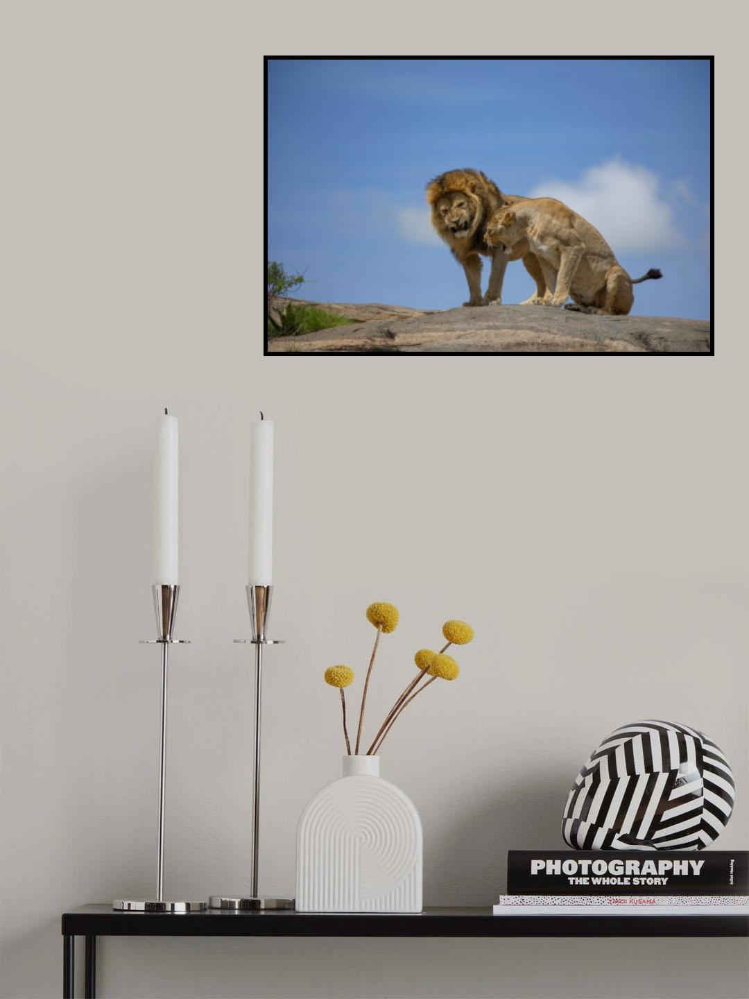 Lions in the Sky Poster och Canvastavla