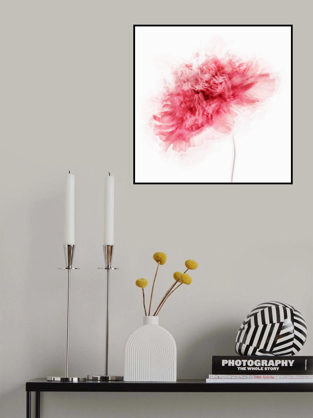 Poppy Impressions Poster och Canvastavla
