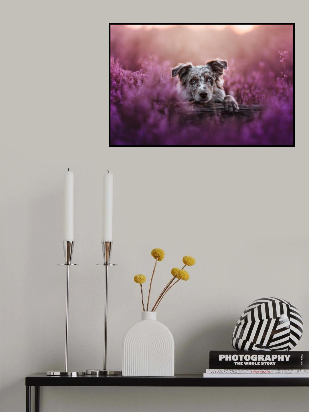 Tired puppy Poster och Canvastavla