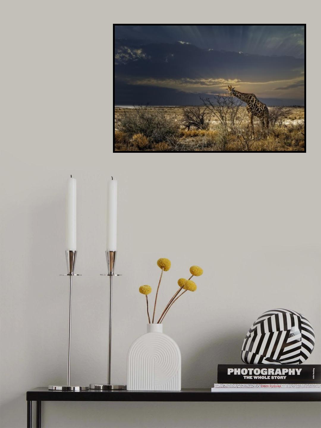 sunrise in Etosha NP Poster och Canvastavla