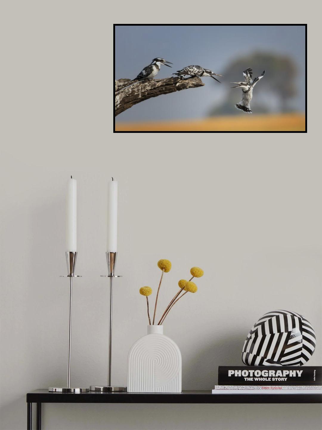 Kingfisher Poster och Canvastavla