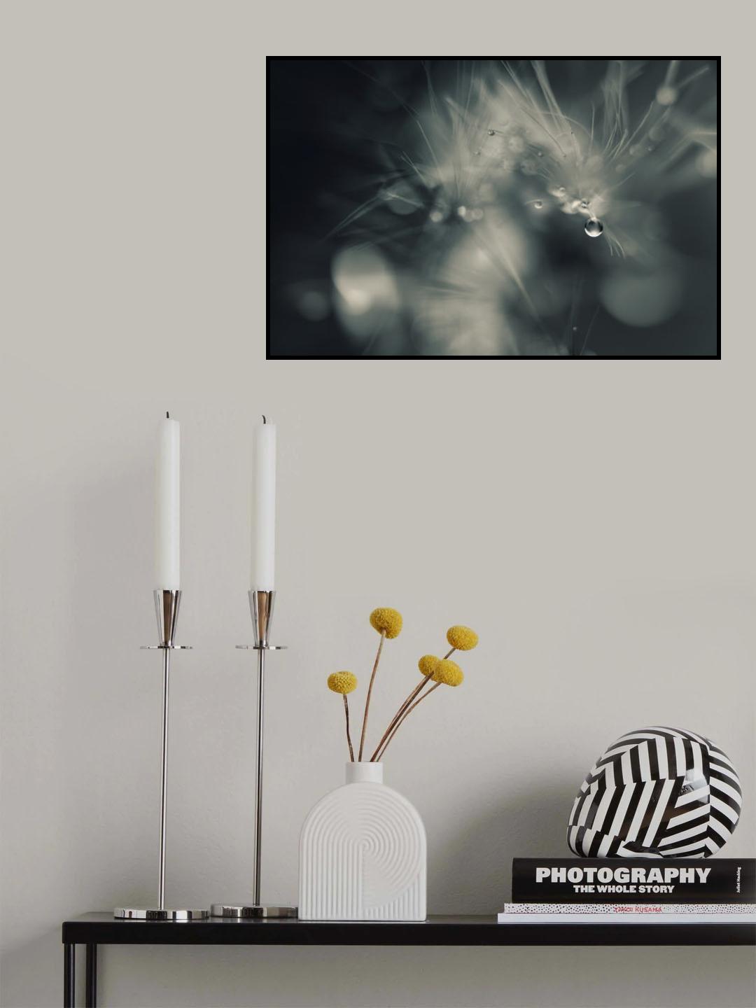 Don`t drop me Poster och Canvastavla