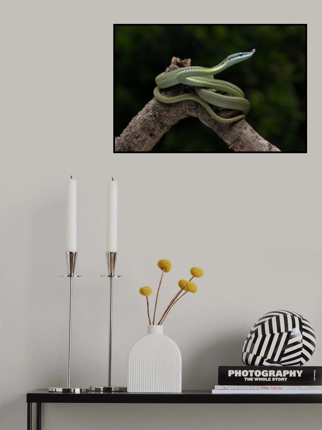 green snake Poster och Canvastavla