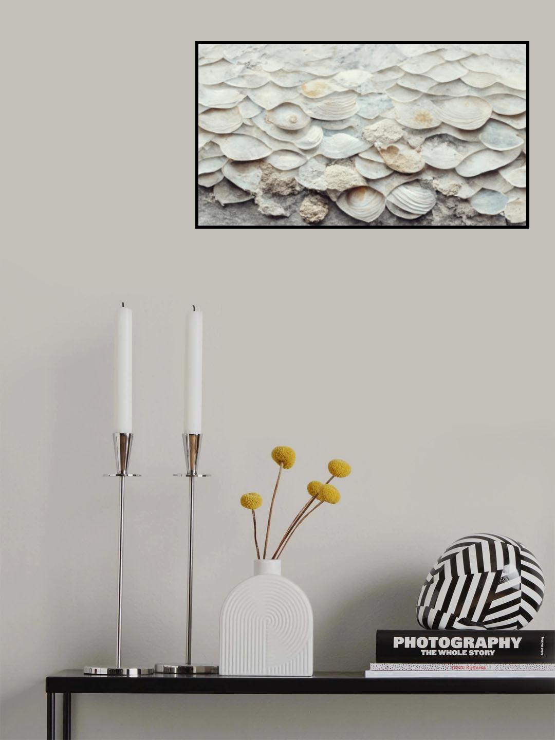Sea Shells Detail No 7 Poster och Canvastavla