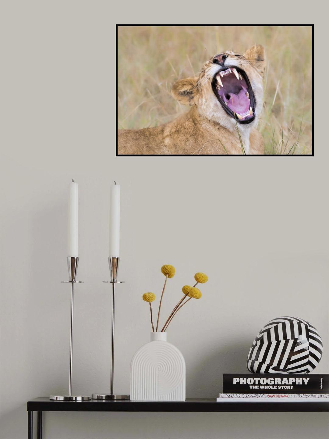 How's My Teeth Poster och Canvastavla