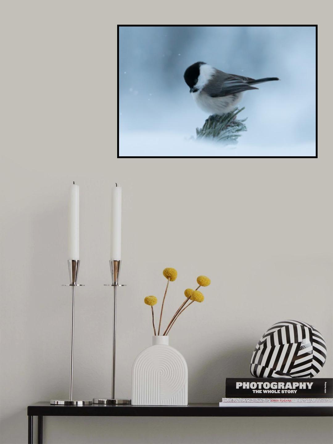 Let it snow Poster och Canvastavla