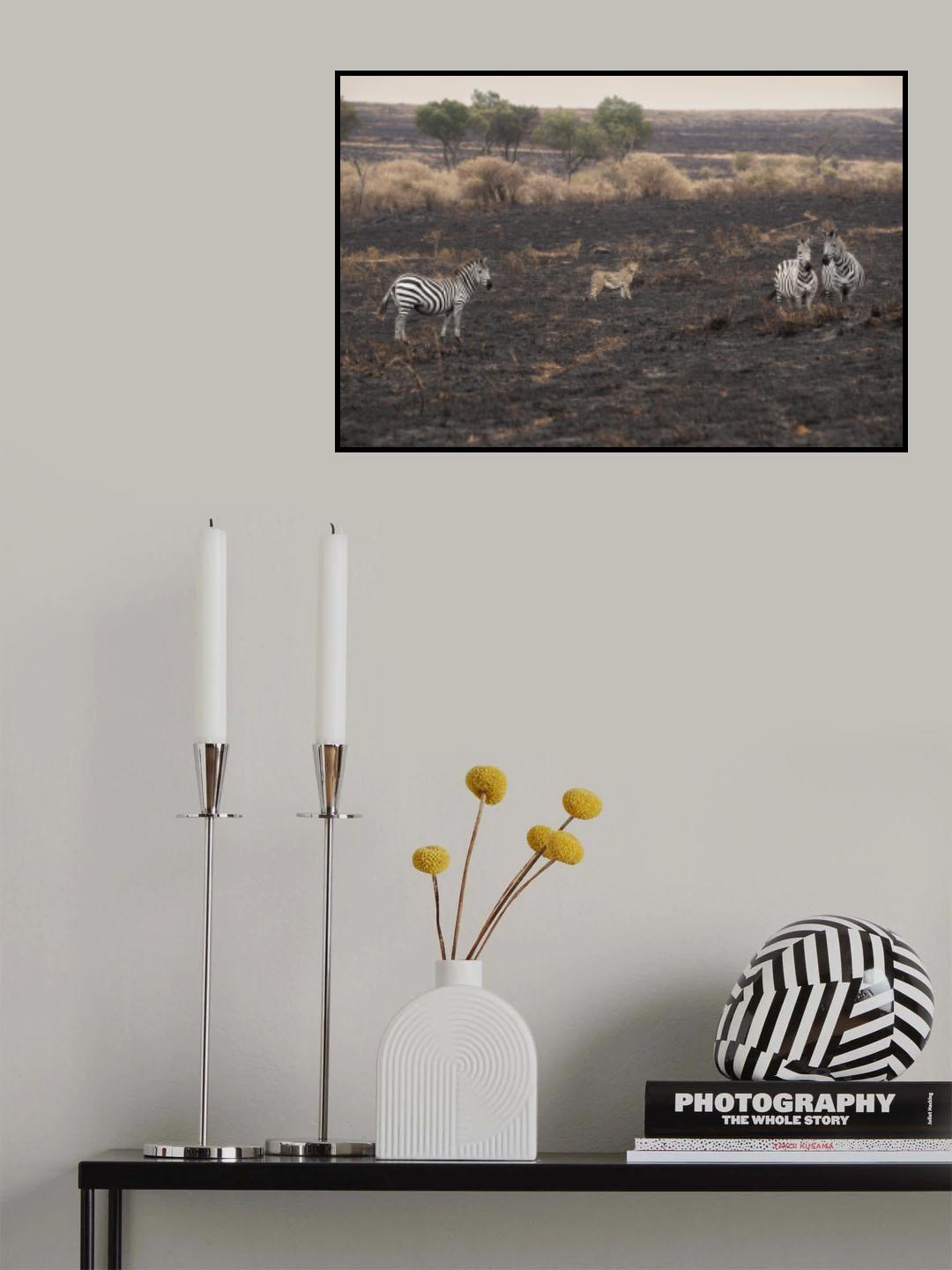 Savannah Burning Poster och Canvastavla