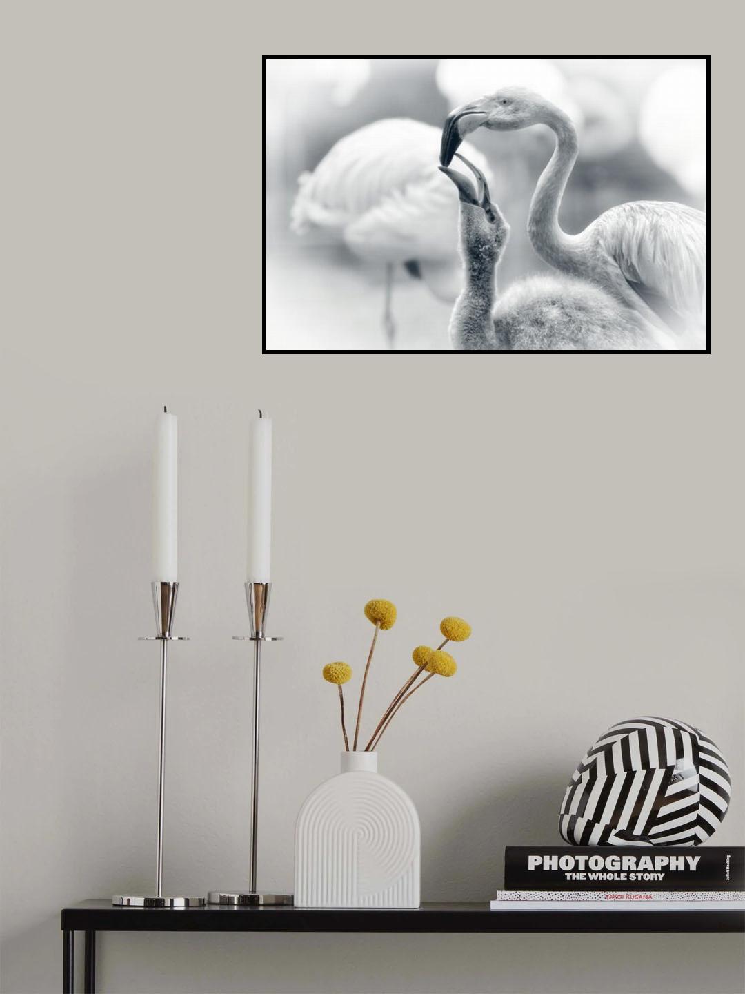 FEEDING .... Poster och Canvastavla