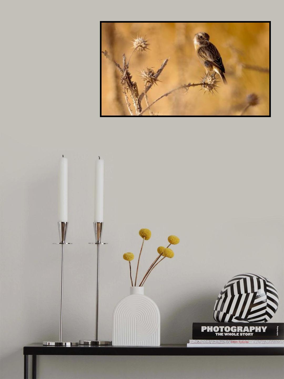 Stonechat Poster och Canvastavla