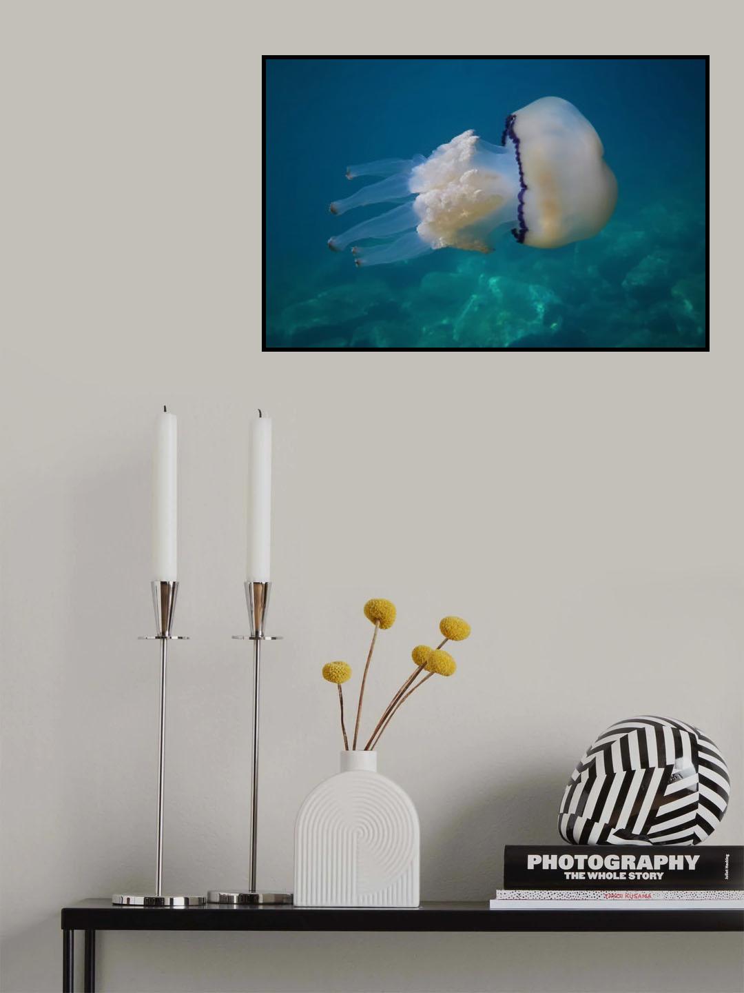 White elegance Poster och Canvastavla