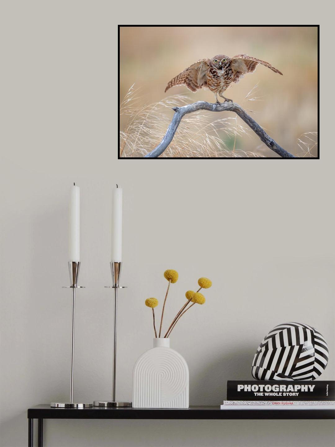 Balance Poster och Canvastavla