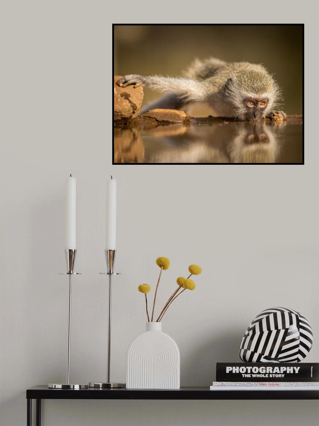 Reflection Poster och Canvastavla