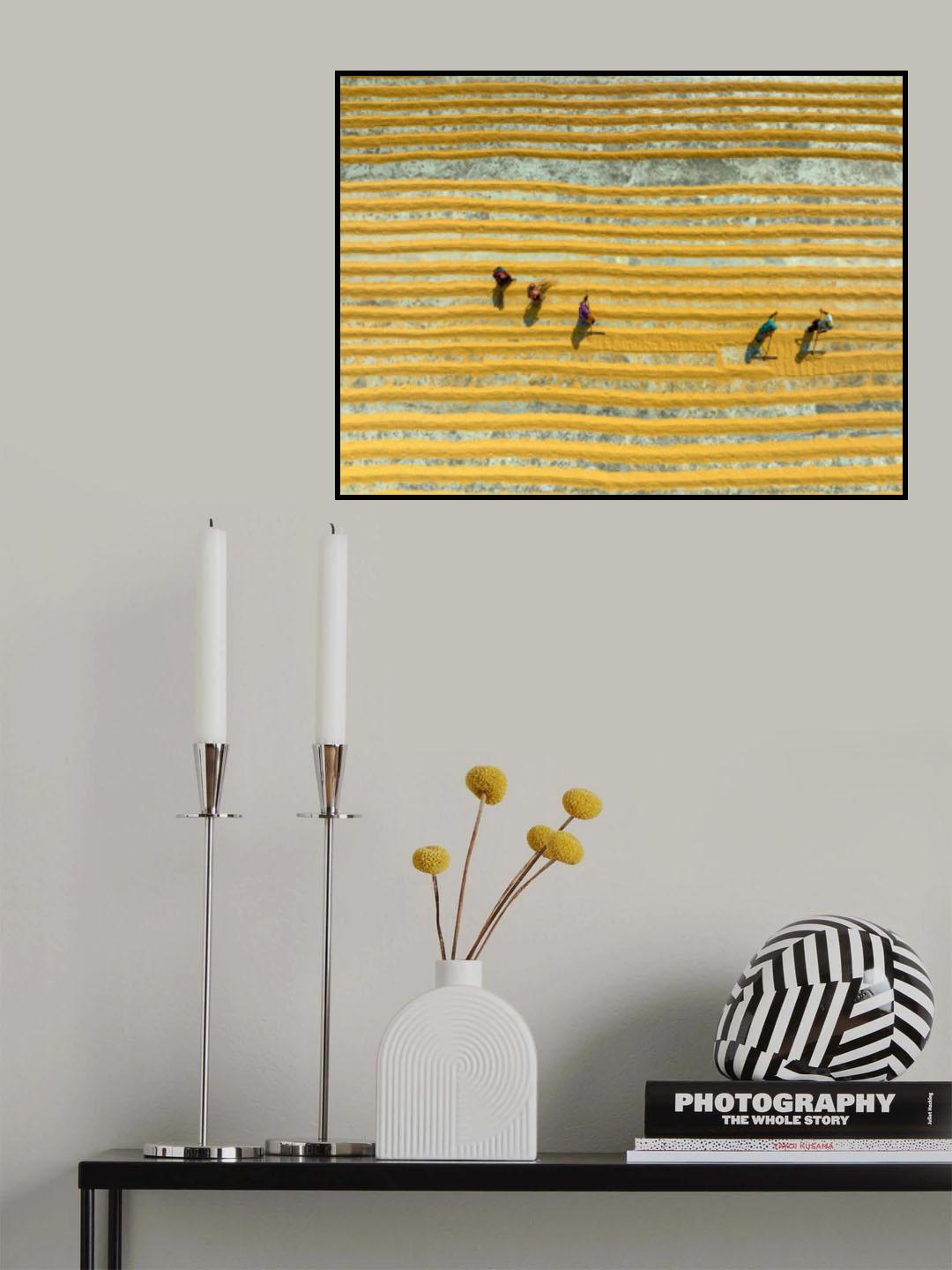 Racking rice Poster och Canvastavla