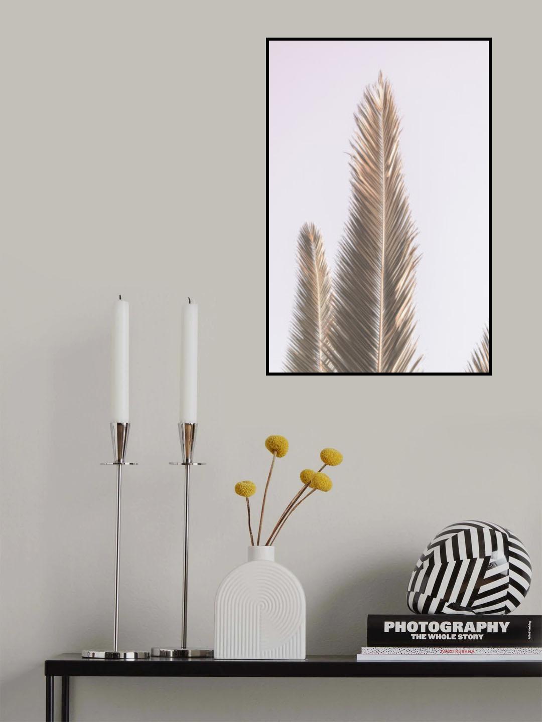 Phoenix Palm Poster och Canvastavla