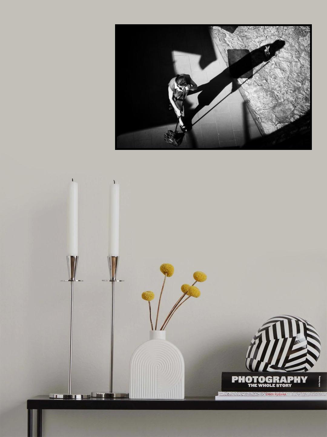 Chasing the cat Poster och Canvastavla