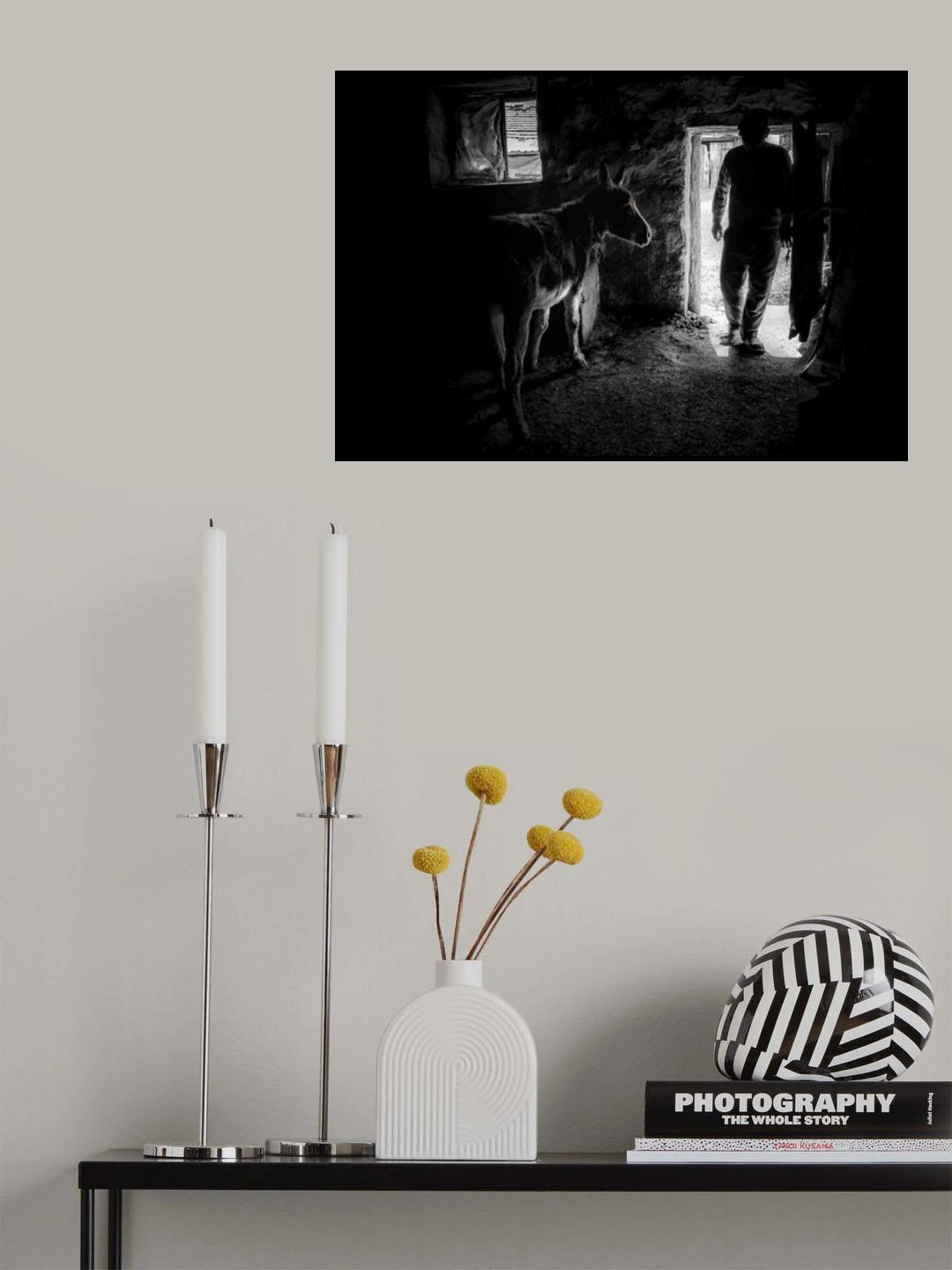 Black&White Poster och Canvastavla