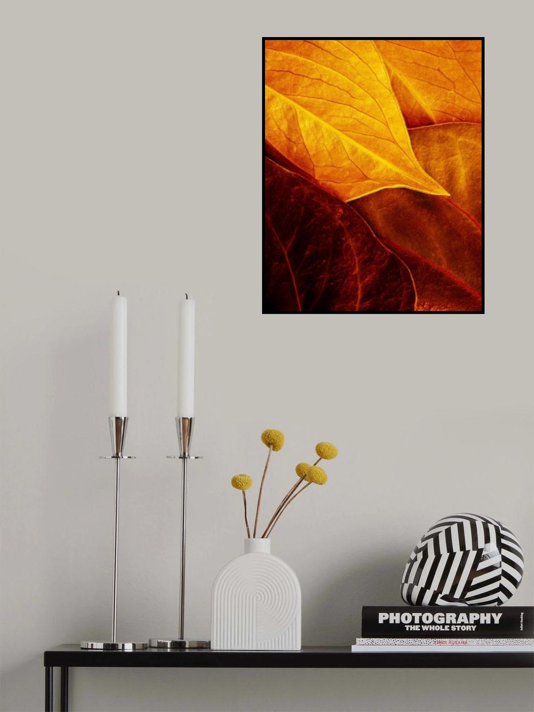 Leaves Poster och Canvastavla