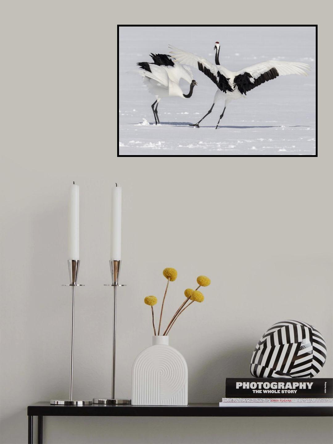 Dance of the Crane Poster och Canvastavla