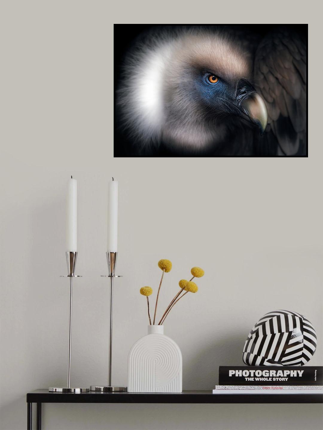 Vulture Look Poster och Canvastavla